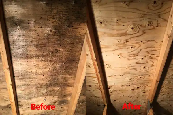 water damage restoration service Forked River